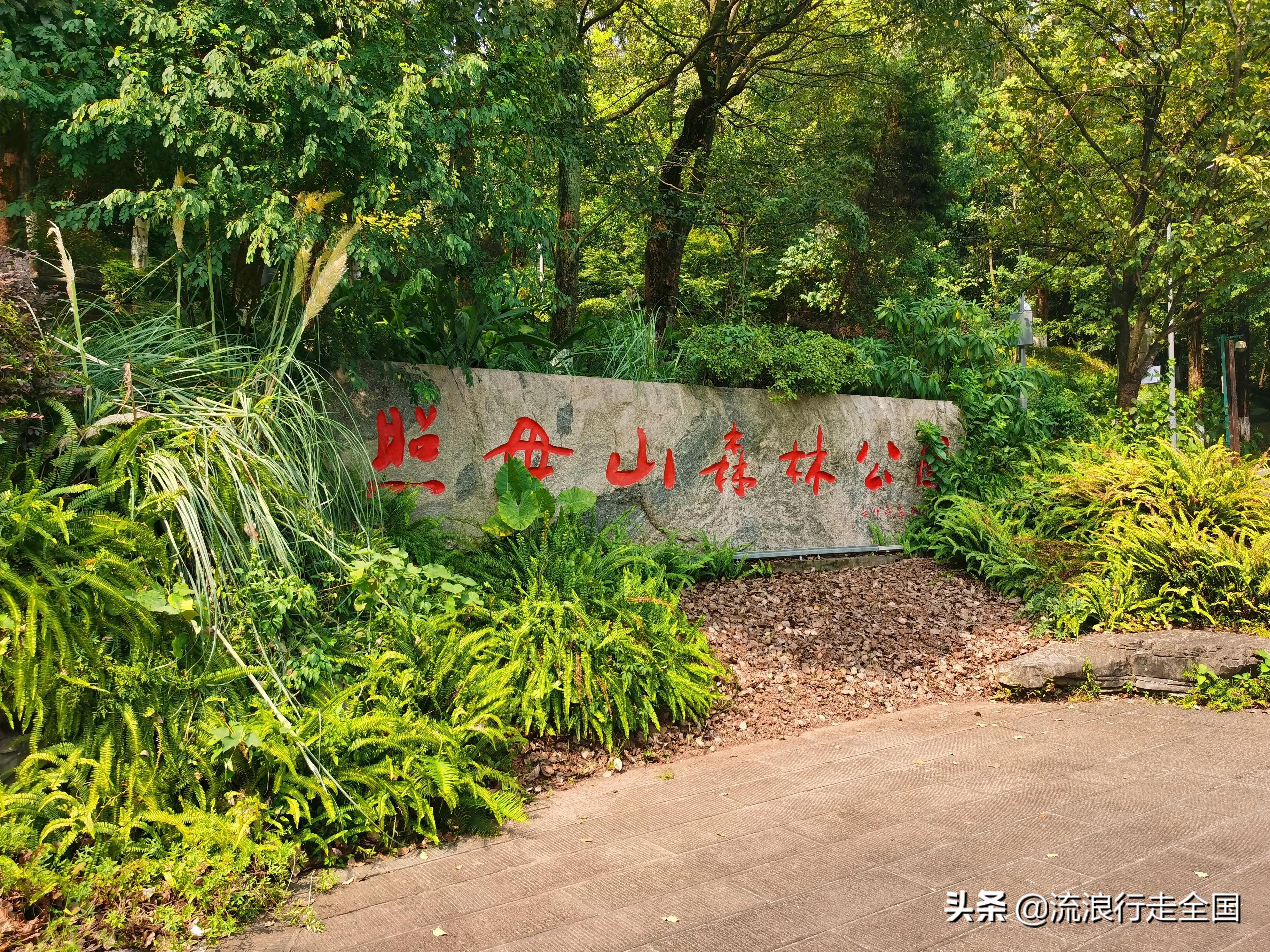 好山好水好风景：重庆照母山森林公园（线路攻略指南）