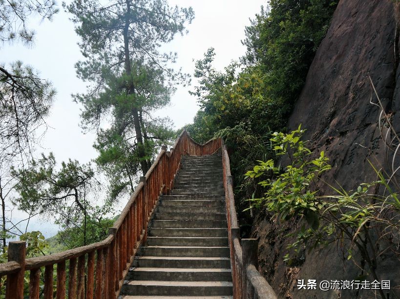 在夏天，你会选择去爬山吗？看看重庆歌乐山（攻略线路指南）