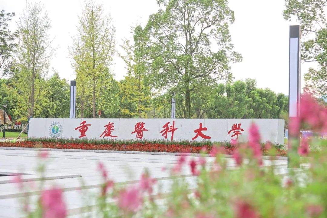 重庆医科大学排名（2022最新排名）