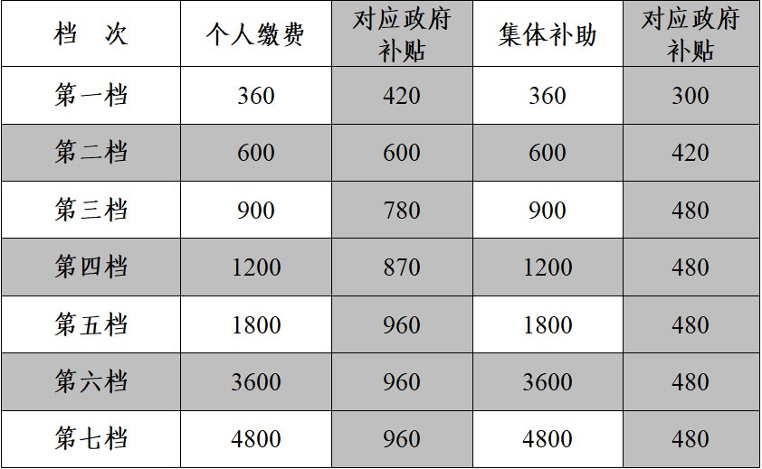 广州市社会保险查询（2022广州个人社保怎么查询）