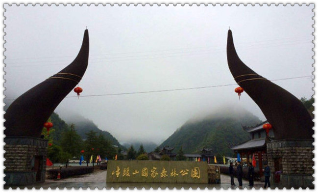 武义有什么旅游景点?武义十大景点排名插图3 牛头山国家森林公园