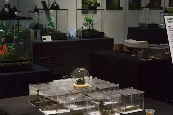 2022周尧昆虫博物馆预约指南 附开放时间及地址 2022周尧昆虫博物馆预约指南 附开放时间及地址
