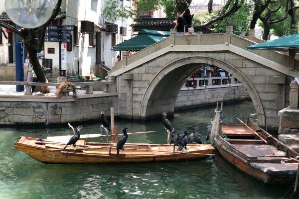 苏州水乡旅游线路推荐 哪个水乡最值得去 苏州水乡旅游线路推荐 哪个水乡最值得去