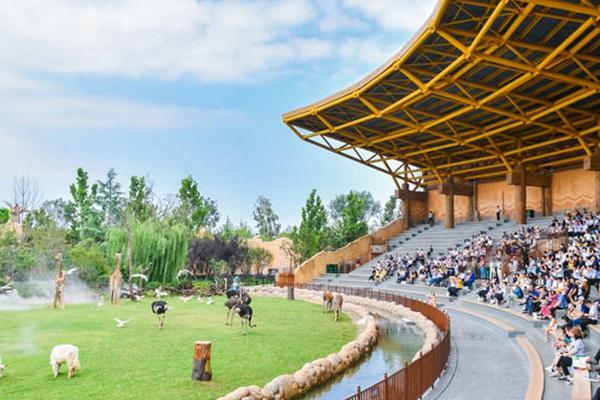 新密银基动物王国门票多少钱 新密银基动物王国门票多少钱