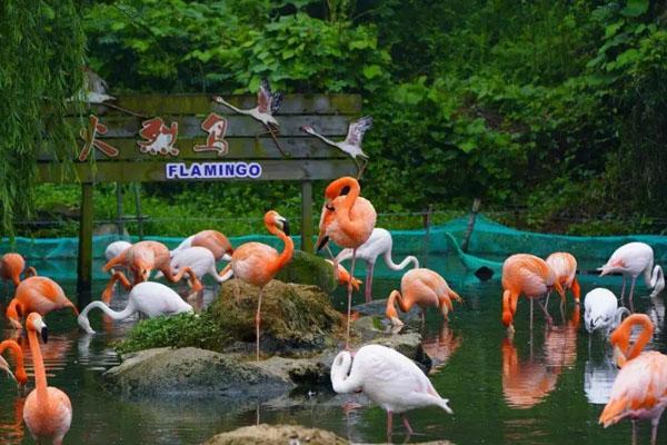2022宁波野生动物园门票多少一张 附优惠政策及开放时间