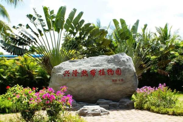 中国十大植物园（中国最有名的植物园排名）