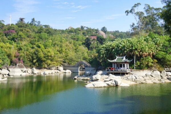 中国十大植物园（中国最有名的植物园排名）