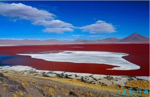  红湖：玻利维亚