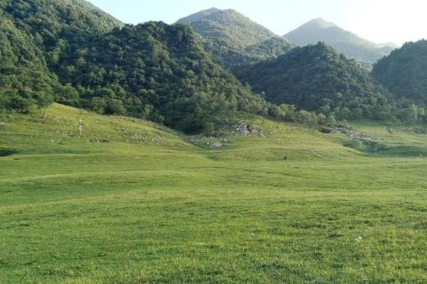巫溪红池坝风景区门票多少一张 巫溪红池坝风景区门票多少一张