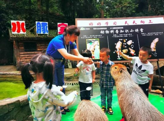 碧峰峡野生动物园（门票优惠政策）