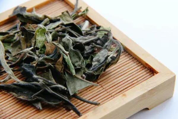 中国白茶知名品种有哪些