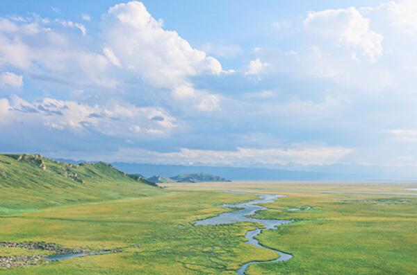 中国十大最美湿地排名（中国最大湿地公园在哪）