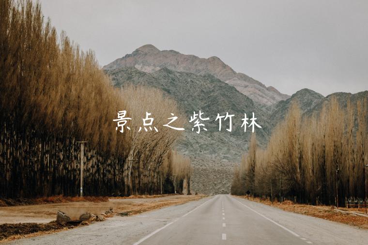 2022杭州紫竹林门票多少钱（附开放时间）