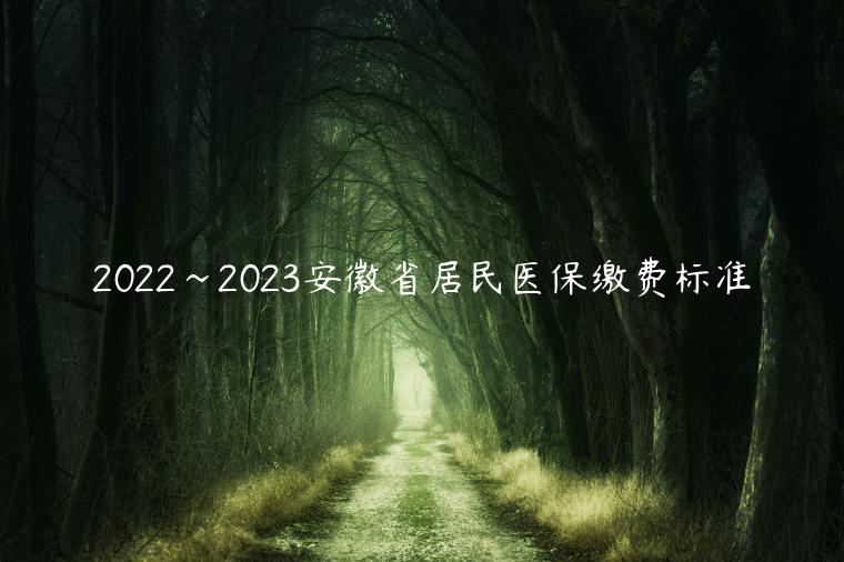 2022~2023安徽省居民医保缴费标准