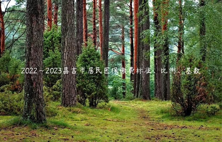 2022~2023昌吉市居民医保缴费标准、比例、基数